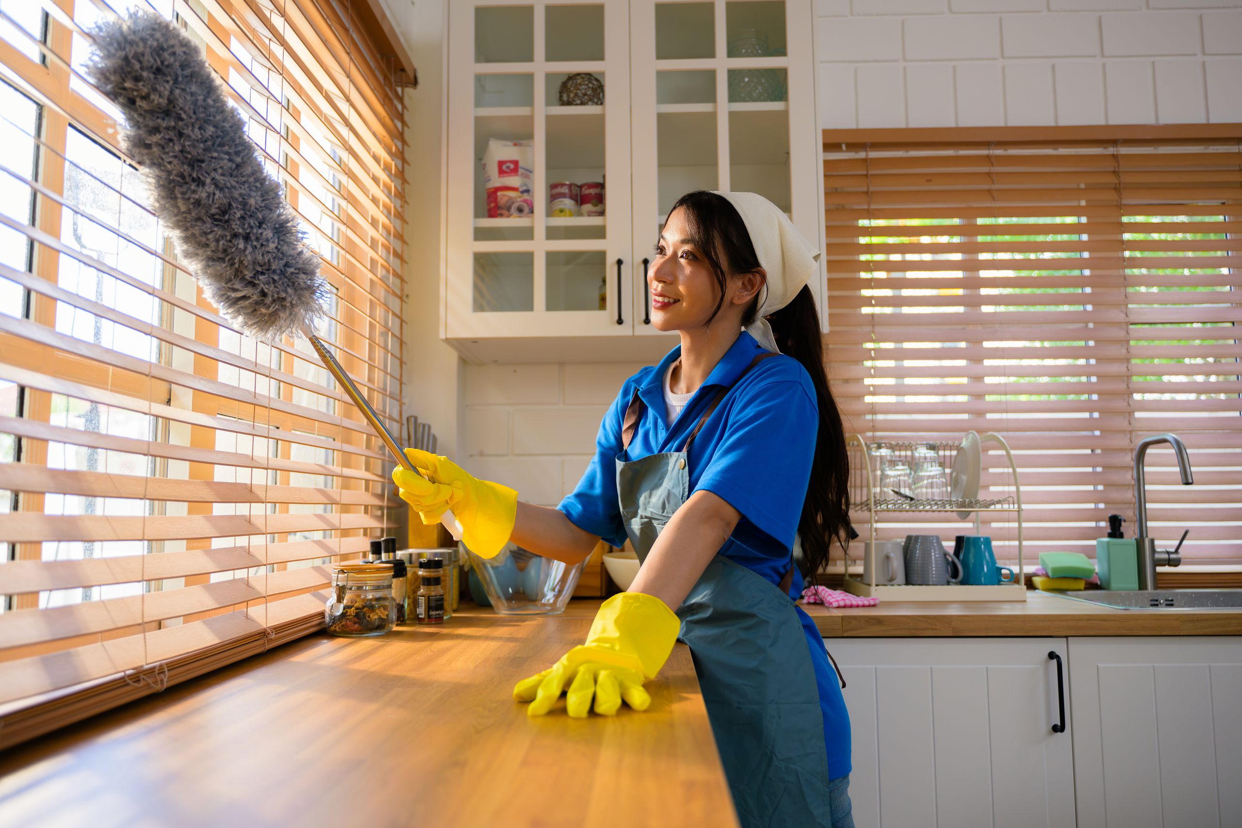 Residential cleaning professional